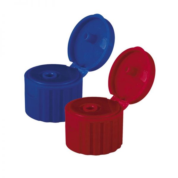 10 (1) Flip Top Cap with Different Color - Image 1
